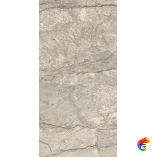 ANIMA FUTURA AMAZING SILVER 60X120 LISCIO MATT AIAV