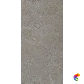 ARENITE DARK GREY MT 60X120 CAN5AREIDD5A