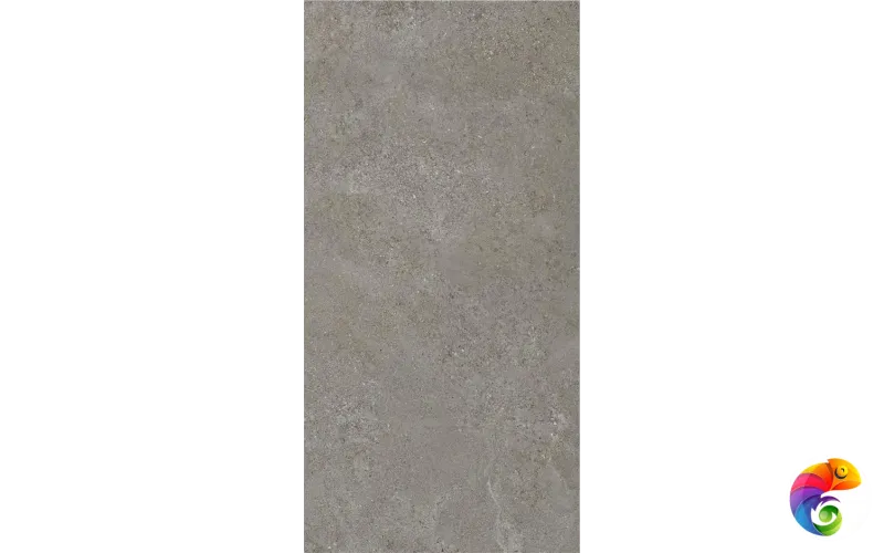 ARENITE DARK GREY MT 60X120 CAN5AREIDD5A