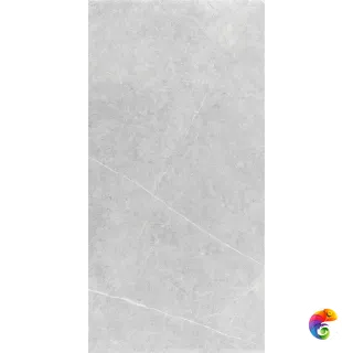 NORTHON LIGHT GREY MT 60X120 CAN5NORODDKA