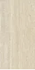 SIENA TOSCANO 60X120  Artech 8435592027586
