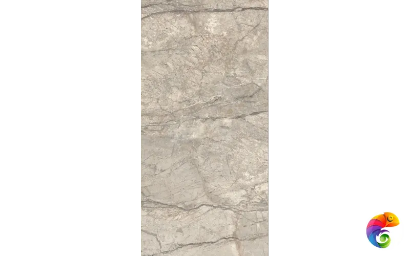 ANIMA FUTURA AMAZING SILVER 60X120 LISCIO MATT AIAV