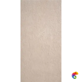 DETROIT TAUPE MT 60X120 CAN5DETREDPA