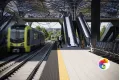 Коллекция Avenue Lines Estima Profi