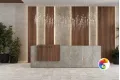 Коллекция Seed Estima City