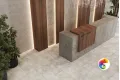Коллекция Seed Estima City