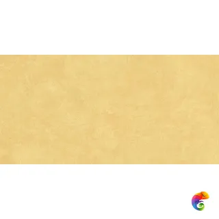 SR04 60x120х10 Непол.Рект.
