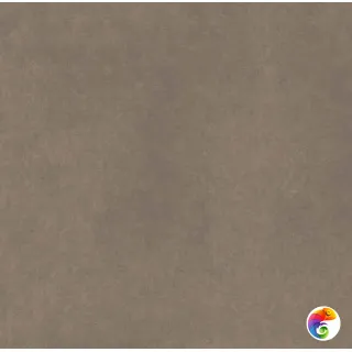 CA04 60x60x9 Непол.Рект. (Керамический гранит)