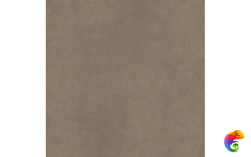 CA04 60x60x9 Непол.Рект. (Керамический гранит)