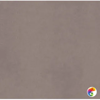 CA01 60x60x9 Непол.Рект. (Керамический гранит)