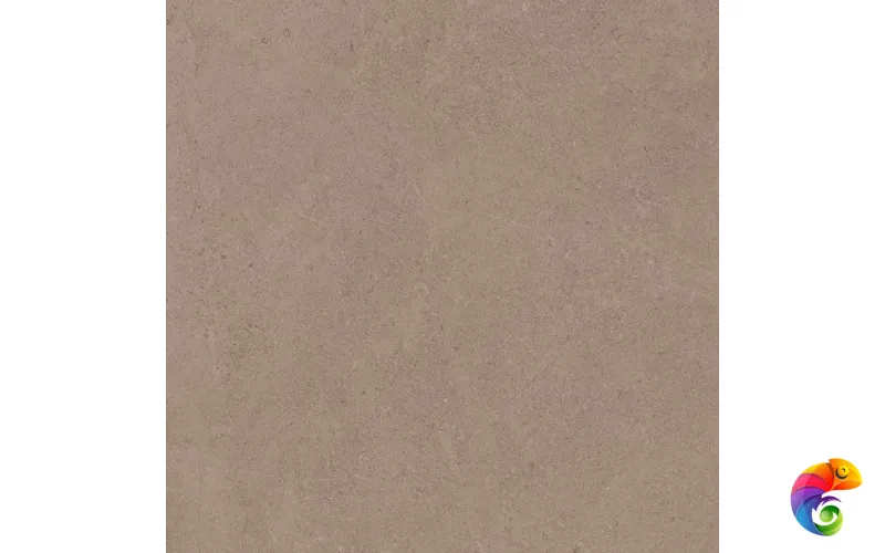 GO01 60x60 Непол.Рект. (Керамический гранит)