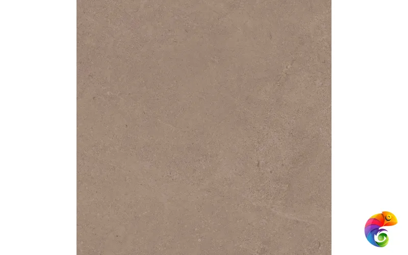 GO01 60x60 Непол.Рект. (Керамический гранит)