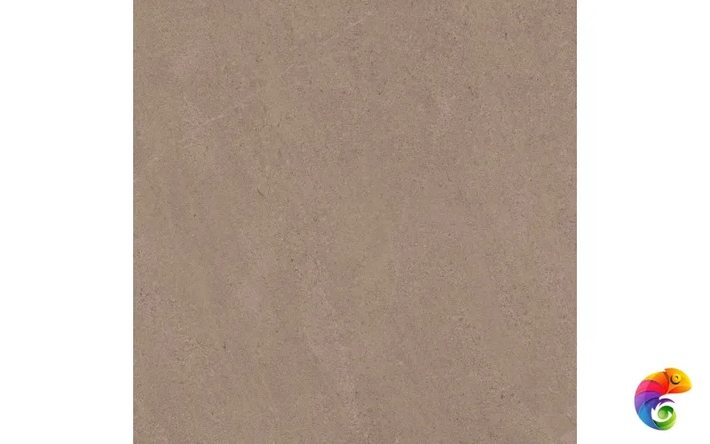 GO01 60x60 Непол.Рект. (Керамический гранит)