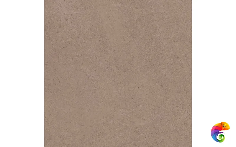GO01 60x60 Непол.Рект. (Керамический гранит)