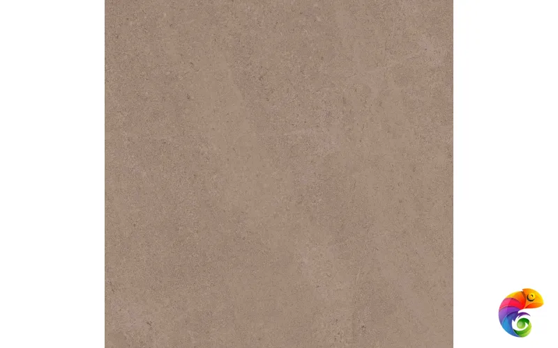 GO01 60x60 Непол.Рект. (Керамический гранит)