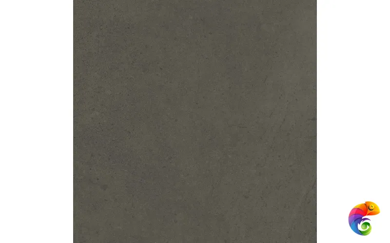 GO11 60x60x10 Непол.Рект. (Керамический гранит)