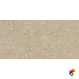 NP02 30,6x60,9x8 Непол.