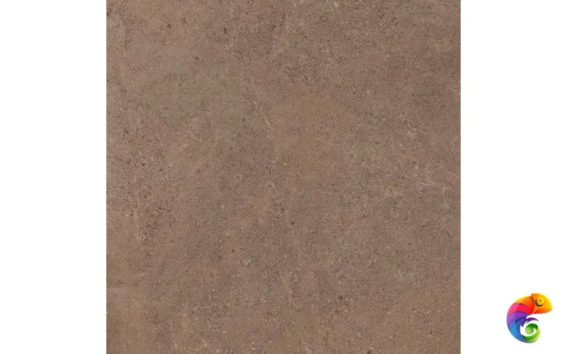 GO02 60x60 Непол.Рект. (Керамический гранит)