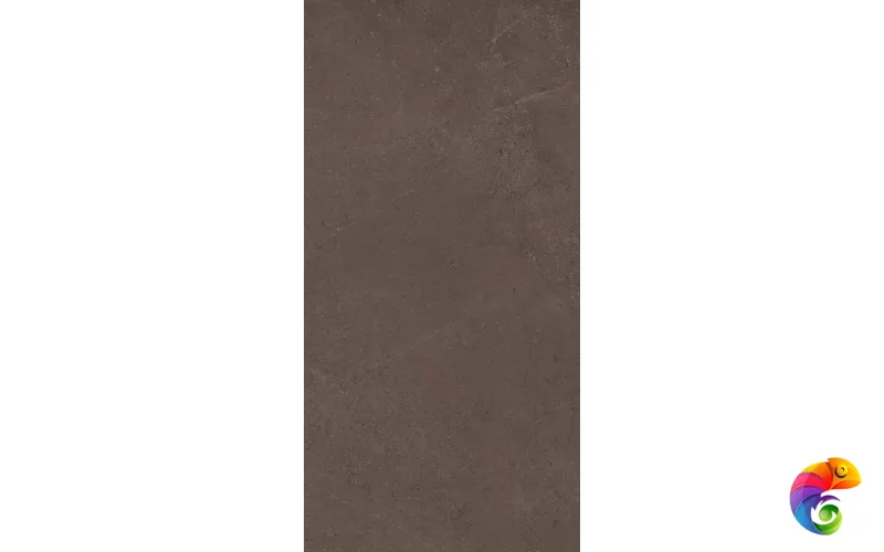 GO03 60x120x9 Непол.Рект. (Керамический гранит)