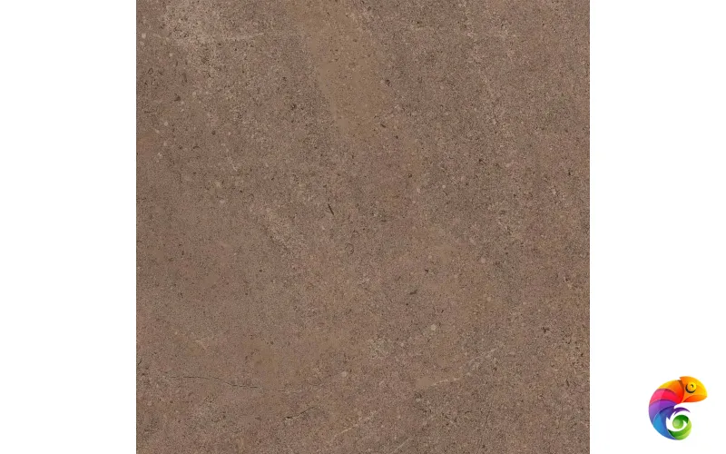 GO02 60x60x9 Непол.Рект. (Керамический гранит)