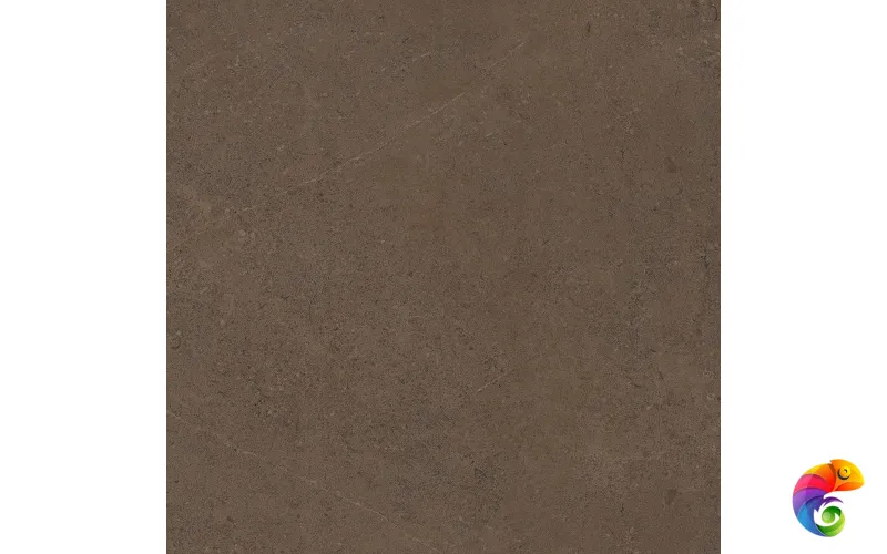 GO03 60x60 Непол.Рект. (Керамический гранит)