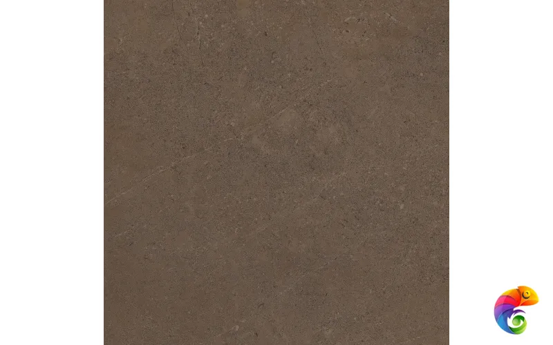 GO03 60x60 Непол.Рект. (Керамический гранит)