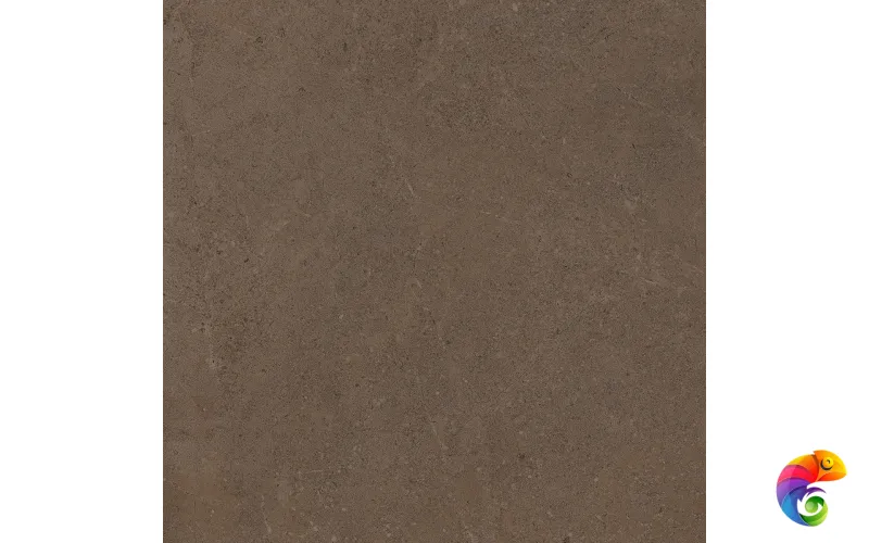 GO03 60x60 Непол.Рект. (Керамический гранит)