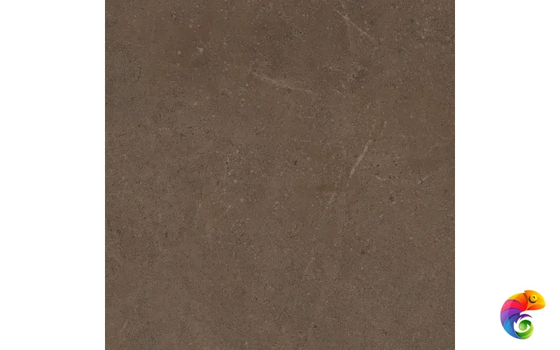 GO03 60x60 Непол.Рект. (Керамический гранит)