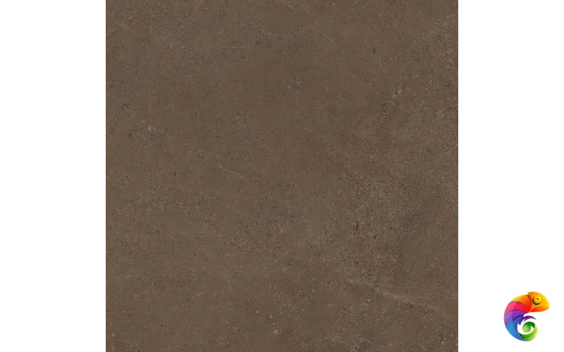 GO03 60x60 Непол.Рект. (Керамический гранит)