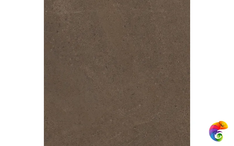 GO03 60x60 Непол.Рект. (Керамический гранит)