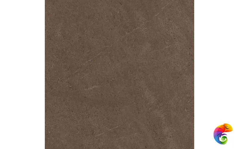GO03 60x60 Непол.Рект. (Керамический гранит)