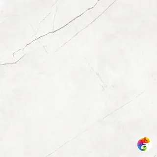 NL00 60x60x9 Полир. (Керамический гранит)