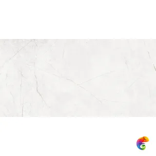 NL00 60x120x10 Непол.Рект.