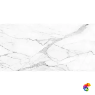 SM01 60x120x10 Полир.