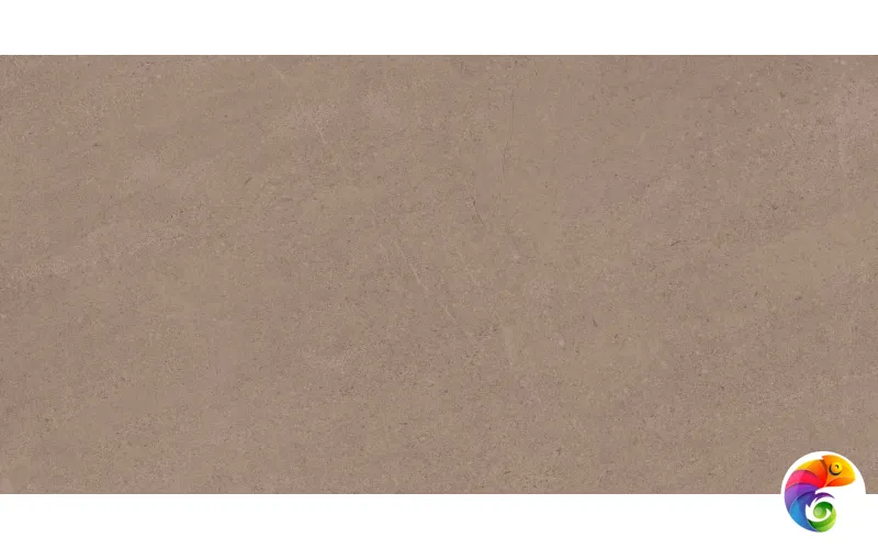 GO01 60x120x10 Непол.Рект. (Керамический гранит)