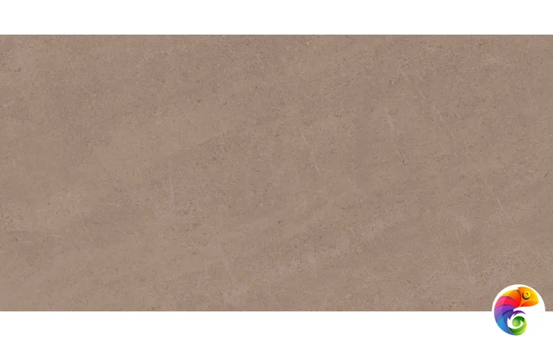 GO01 60x120x10 Непол.Рект. (Керамический гранит)