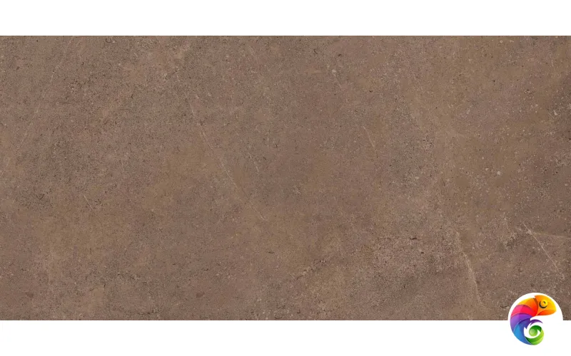 GO02 60x120x10 Непол.Рект. (Керамический гранит)