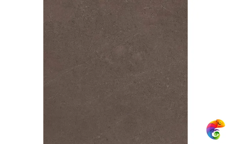 GO03 60x60x9 Непол.Рект. (Керамический гранит)