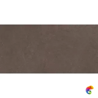 GO03 60x120x10 Непол.Рект.