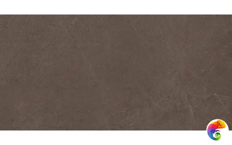 GO03 60x120x10 Непол.Рект. (Керамический гранит)