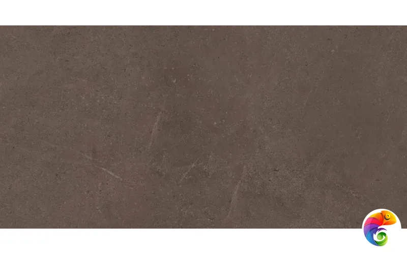 GO03 60x120x10 Непол.Рект. (Керамический гранит)