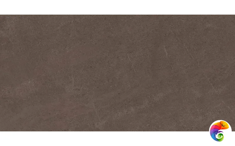 GO03 60x120x10 Непол.Рект. (Керамический гранит)