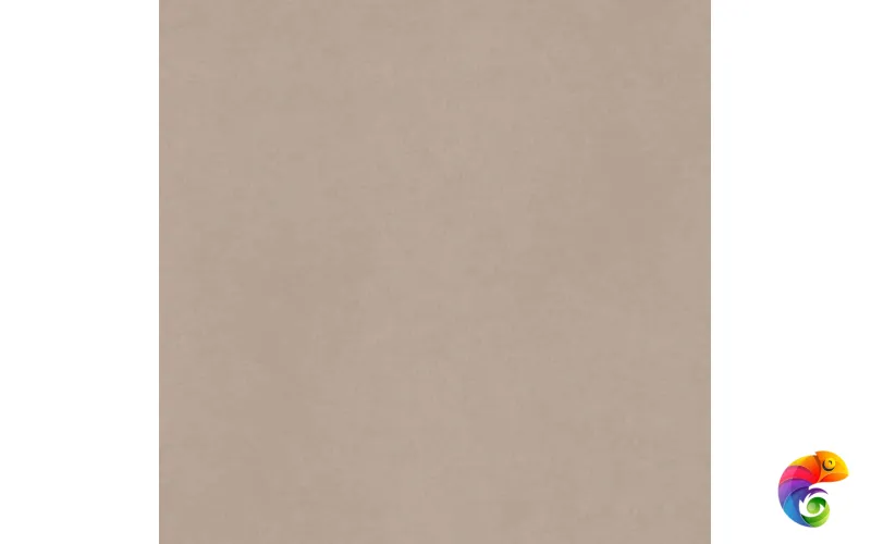 CA00 60x60x10 Непол.Рект. (Керамический гранит)