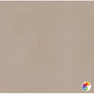 CA00 60x60x9 Непол.Рект. (Керамический гранит)