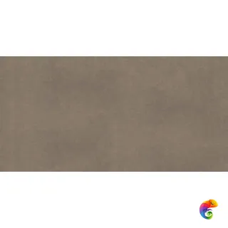 CA04 60x120x10 Непол.Рект.