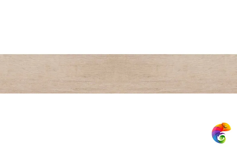 SF02 19,4х120х10 Непол.Рект. (Керамический гранит)