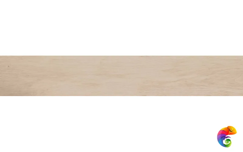 SF02 19,4х120х10 Непол.Рект. (Керамический гранит)