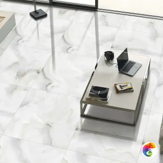 ONYX Smoke 60x60 (ITC) ITC India