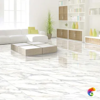 CARRARA 60x60 (ITC) ITC India