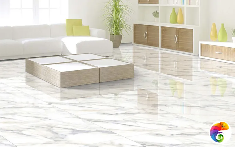 Коллекция CARRARA 60x60 (ITC) ITC India